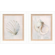 Paragon Serenity Shells I S/2 Blue 18 X 15 X 2 Wall Art