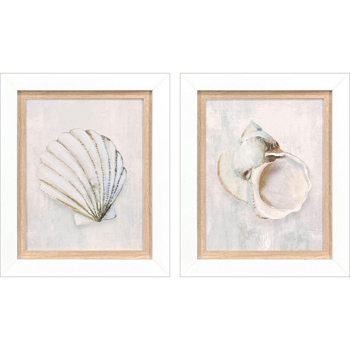 Paragon Serenity Shells I S/2 Blue 18 X 15 X 2 Wall Art