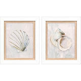 Paragon Serenity Shells I S/2 Blue 18 X 15 X 2 Wall Art