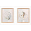 Paragon Serenity Shells I S/2 Blue 18 X 15 X 2 Wall Art