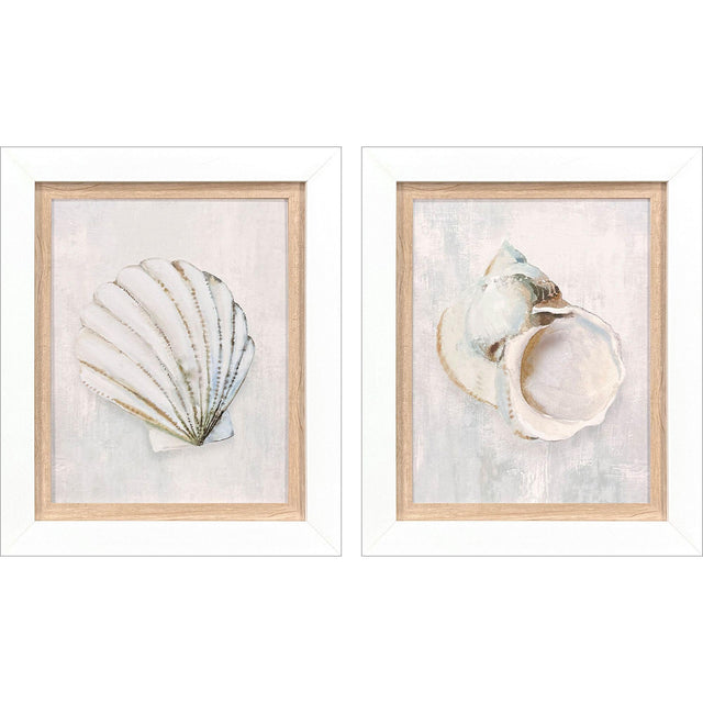 Paragon Serenity Shells I S/2 Blue 18 X 15 X 2 Wall Art