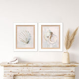 Paragon Serenity Shells I S/2 Blue 18 X 15 X 2 Wall Art
