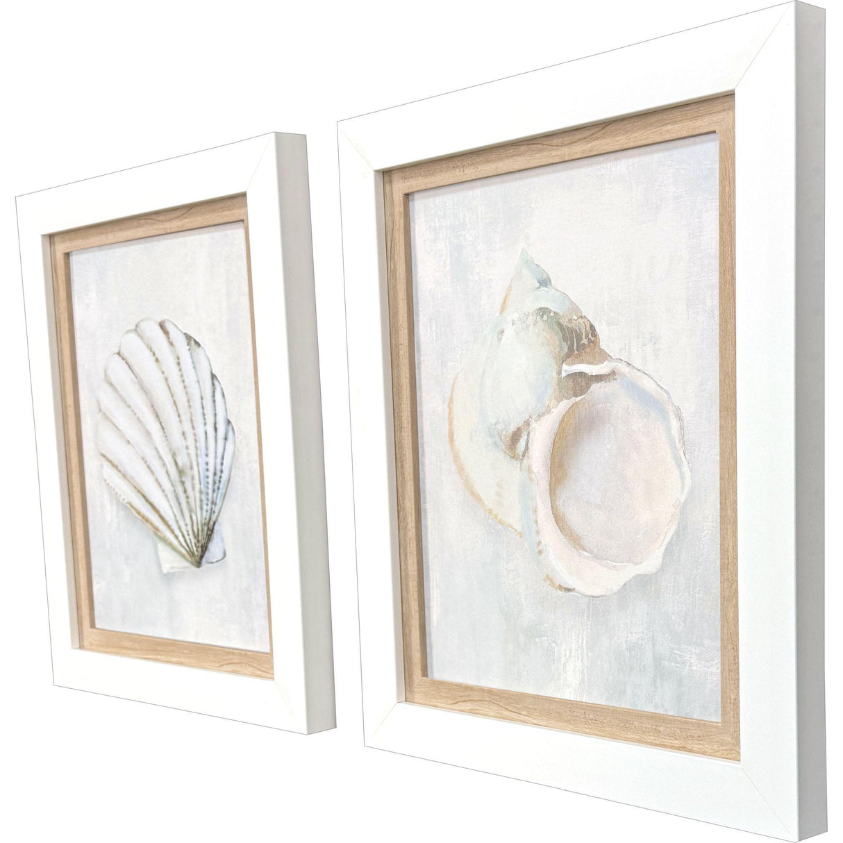 Paragon Serenity Shells I S/2 Blue 18 X 15 X 2 Wall Art