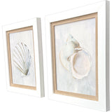 Paragon Serenity Shells I S/2 Blue 18 X 15 X 2 Wall Art