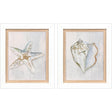 Paragon Serenity Shells II S/2 Blue 18 X 15 X 2 Wall Art