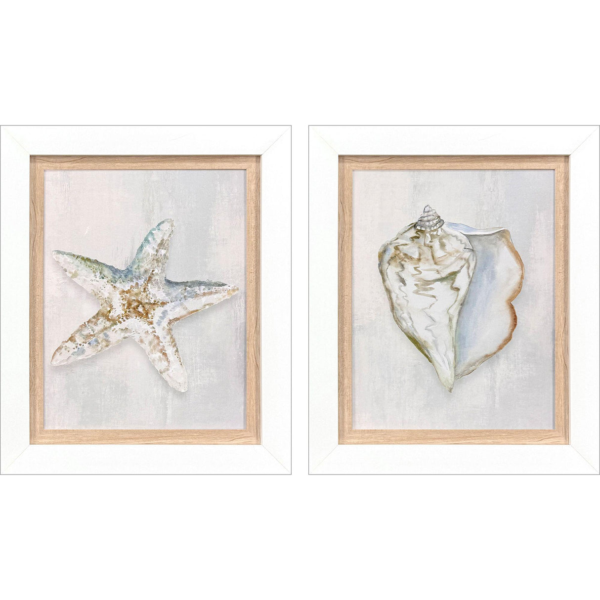 Paragon Serenity Shells II S/2 Blue 18 X 15 X 2 Wall Art