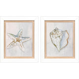 Paragon Serenity Shells II S/2 Blue 18 X 15 X 2 Wall Art