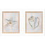 Paragon Serenity Shells II S/2 Blue 18 X 15 X 2 Wall Art