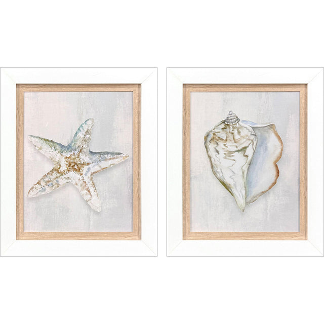 Paragon Serenity Shells II S/2 Blue 18 X 15 X 2 Wall Art