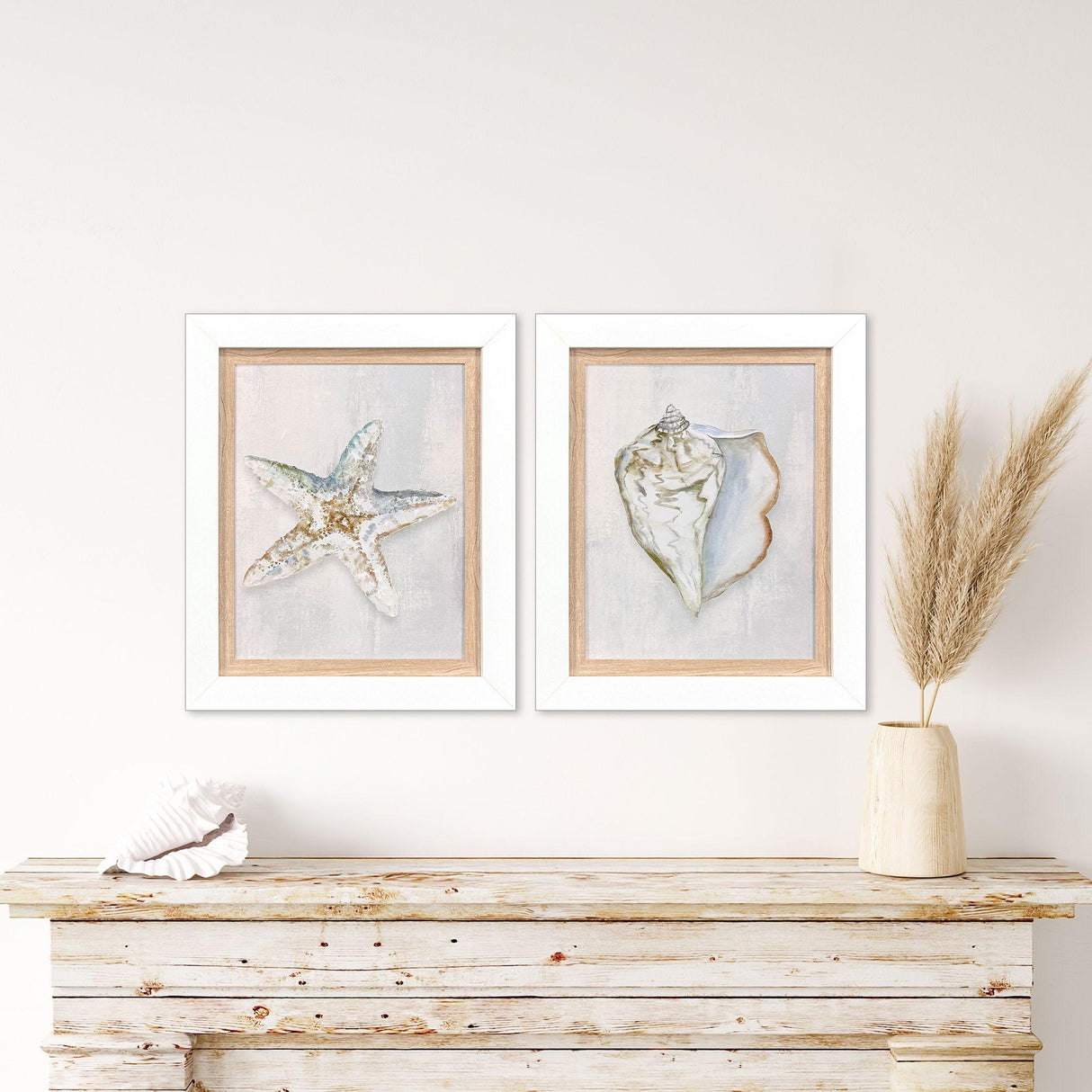 Paragon Serenity Shells II S/2 Blue 18 X 15 X 2 Wall Art