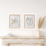Paragon Serenity Shells II S/2 Blue 18 X 15 X 2 Wall Art