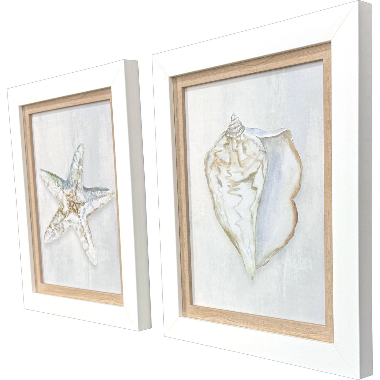 Paragon Serenity Shells II S/2 Blue 18 X 15 X 2 Wall Art