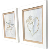 Paragon Serenity Shells II S/2 Blue 18 X 15 X 2 Wall Art