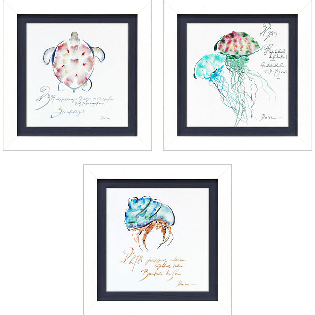 Paragon Sealife S/3 Blue 17 X 17 X 2 Wall Art