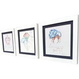 Paragon Sealife S/3 Blue 17 X 17 X 2 Wall Art