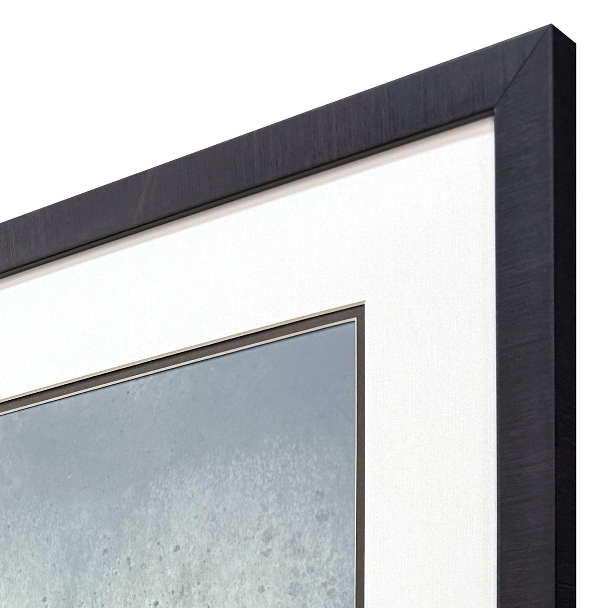 Paragon Fanatical Beauty S/2 Blue 32 X 20 X 2 Wall Art
