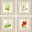 Paragon Fleur Melange II S/4 Green 18 X 18 X 1 Wall Art