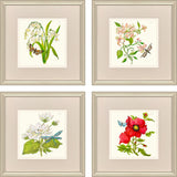Paragon Fleur Melange II S/4 Green 18 X 18 X 1 Wall Art