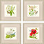 Paragon Fleur Melange II S/4 Green 18 X 18 X 1 Wall Art