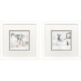 Paragon Splish Splash S/2 Gray 11 X 11 X 2 Wall Art