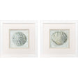 Paragon Ocean Treasures S/2 Gray 11 X 11 X 2 Wall Art