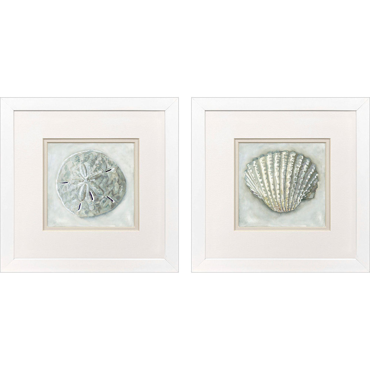 Paragon Ocean Treasures S/2 Gray 11 X 11 X 2 Wall Art