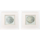 Paragon Ocean Treasures S/2 Gray 11 X 11 X 2 Wall Art
