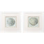 Paragon Ocean Treasures S/2 Gray 11 X 11 X 2 Wall Art