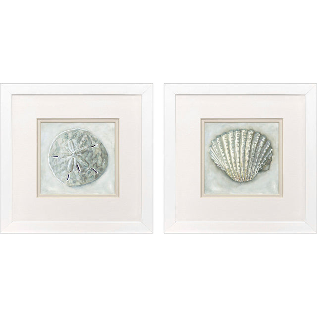 Paragon Ocean Treasures S/2 Gray 11 X 11 X 2 Wall Art