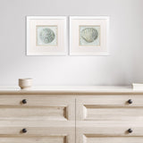 Paragon Ocean Treasures S/2 Gray 11 X 11 X 2 Wall Art