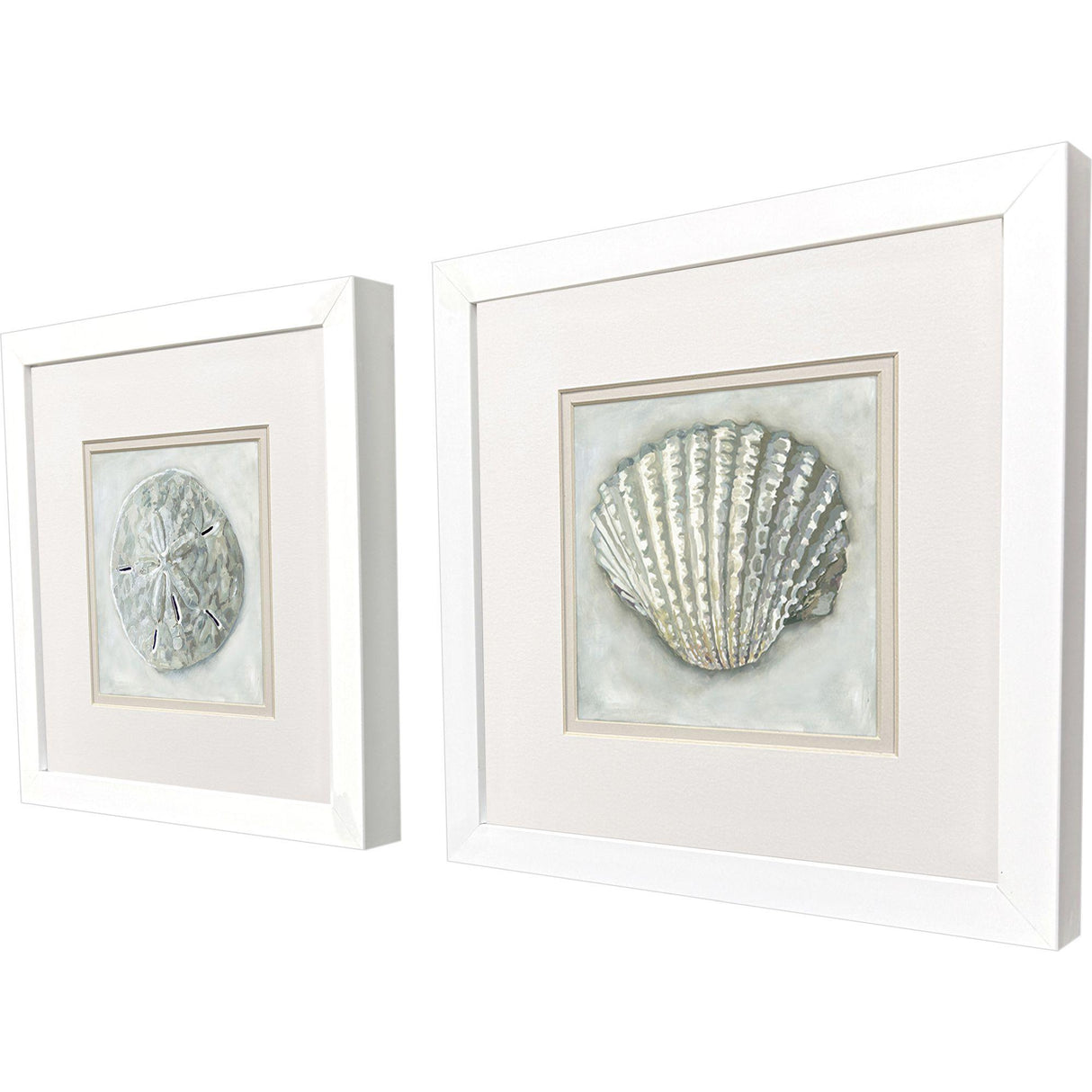 Paragon Ocean Treasures S/2 Gray 11 X 11 X 2 Wall Art