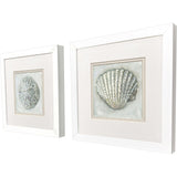 Paragon Ocean Treasures S/2 Gray 11 X 11 X 2 Wall Art