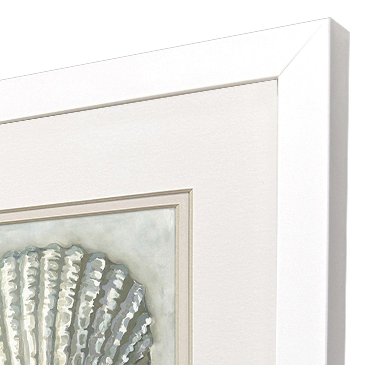 Paragon Ocean Treasures S/2 Gray 11 X 11 X 2 Wall Art