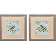 Paragon Peach Love S/2 Brown 11 X 11 X 1 Wall Art