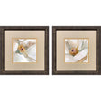 Paragon Floral Center S/2 Beige 11 X 11 X 1 Wall Art