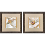 Paragon Floral Center S/2 Beige 11 X 11 X 1 Wall Art