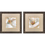 Paragon Floral Center S/2 Beige 11 X 11 X 1 Wall Art