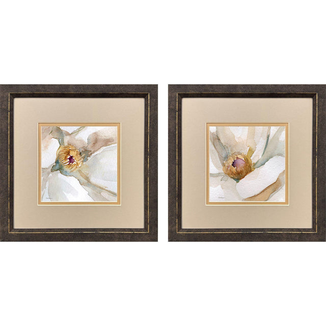 Paragon Floral Center S/2 Beige 11 X 11 X 1 Wall Art