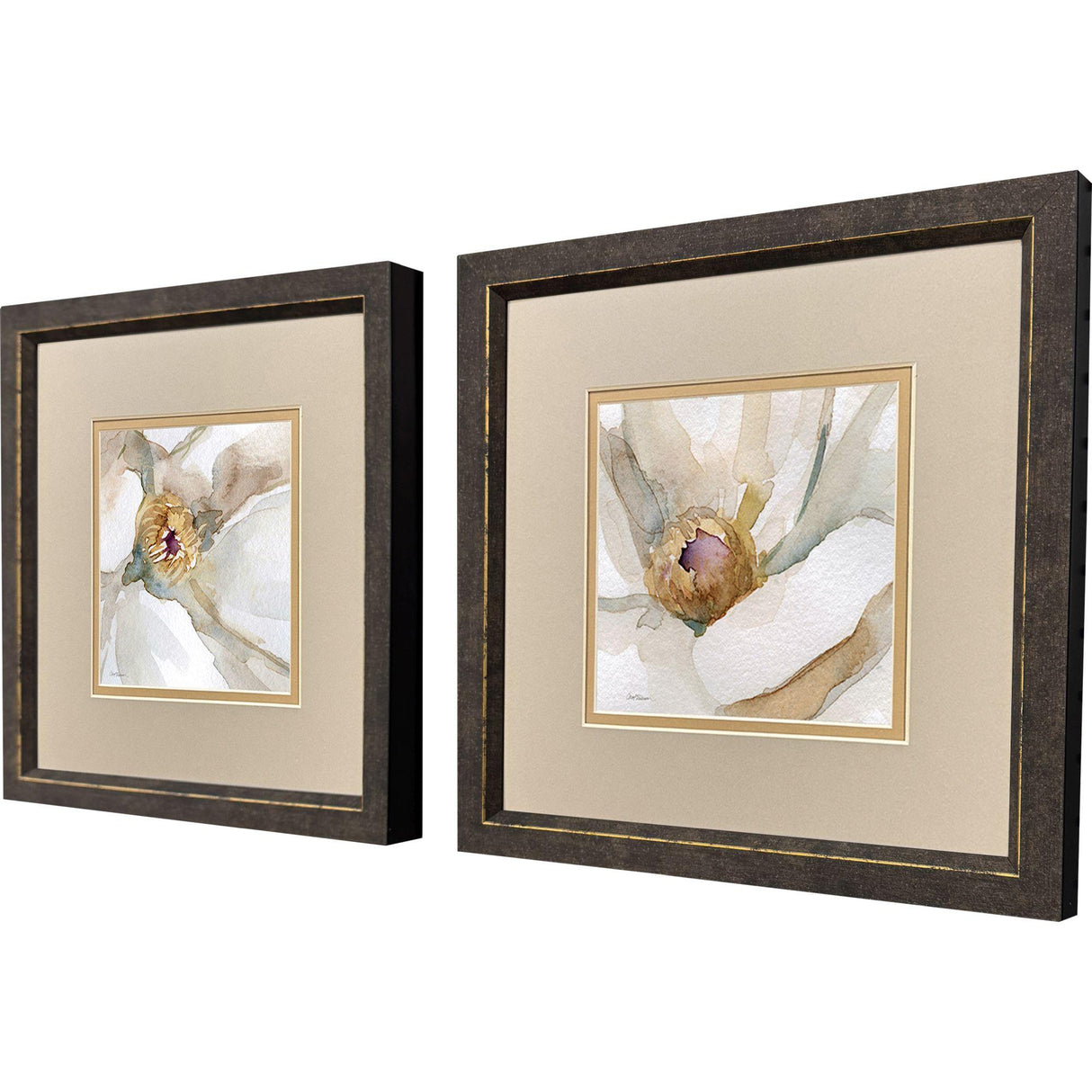 Paragon Floral Center S/2 Beige 11 X 11 X 1 Wall Art