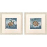 Paragon Traveling Turtle S/2 Blue 11 X 11 X 1 Wall Art