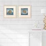 Paragon Traveling Turtle S/2 Blue 11 X 11 X 1 Wall Art