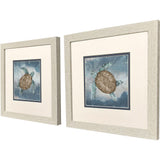 Paragon Traveling Turtle S/2 Blue 11 X 11 X 1 Wall Art
