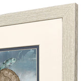 Paragon Traveling Turtle S/2 Blue 11 X 11 X 1 Wall Art