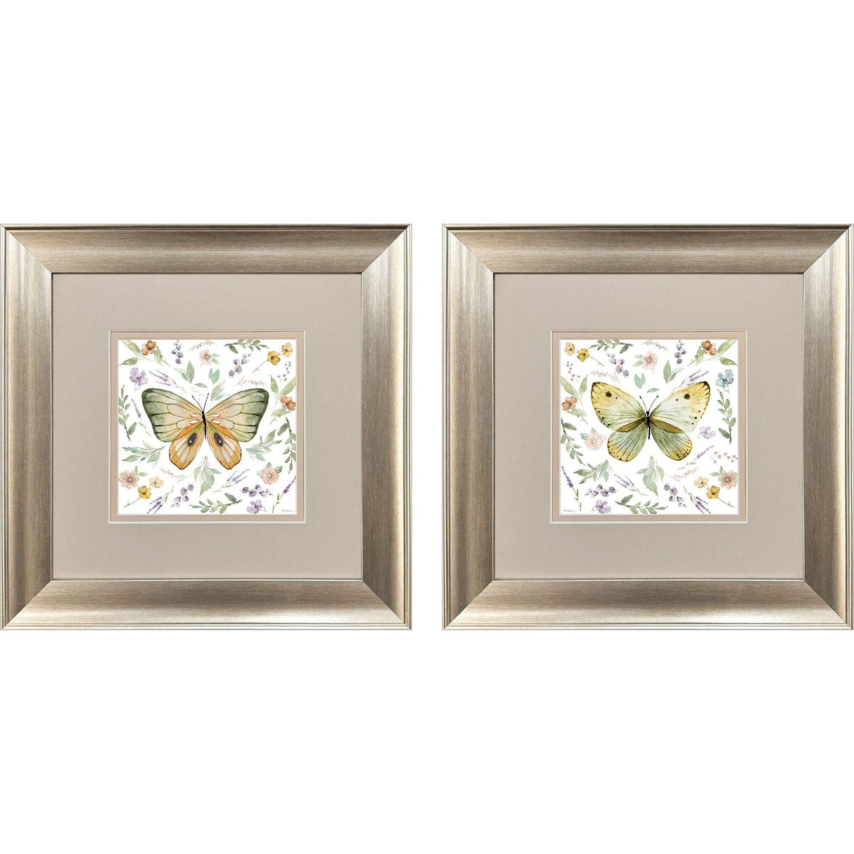 Paragon Organic Nature S/2 Green 13 X 13 X 1 Wall Art