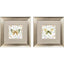 Paragon Organic Nature S/2 Green 13 X 13 X 1 Wall Art