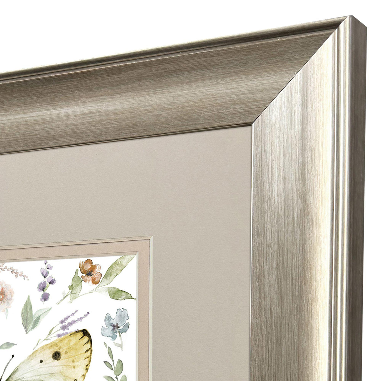 Paragon Organic Nature S/2 Green 13 X 13 X 1 Wall Art