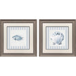 Paragon Ocean Finds I S/2 Blue 19 X 19 X 1 Wall Art