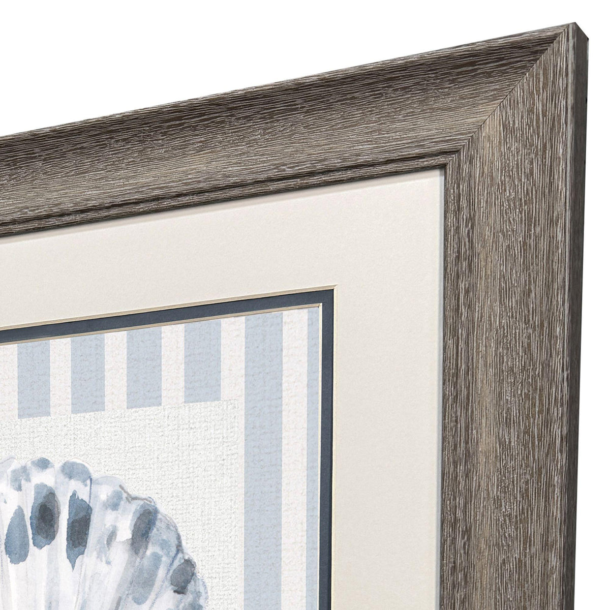 Paragon Ocean Finds I S/2 Blue 19 X 19 X 1 Wall Art
