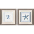 Paragon Ocean Finds II S/2 Blue 19 X 19 X 1 Wall Art
