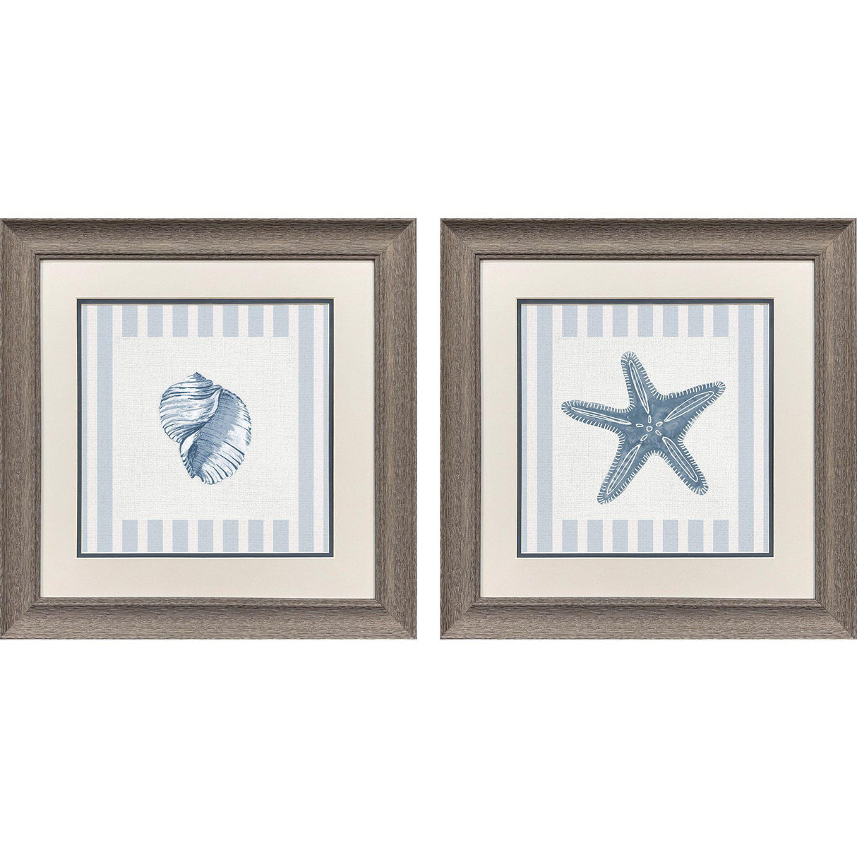Paragon Ocean Finds II S/2 Blue 19 X 19 X 1 Wall Art
